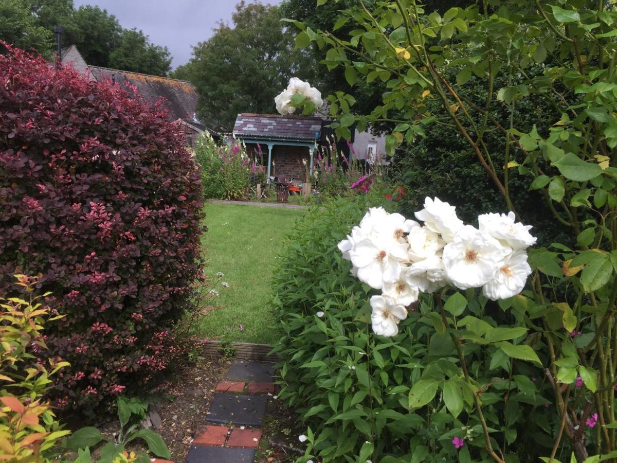 Trekkle Cottage เกทเฮาส์ออฟฟลีท ภายนอก รูปภาพ